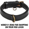 image:imageLeather Dog Collar Padded Soft Interiors Premium Vintage Look HandcraftedBlack