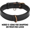 image:imageLeather Dog Collar Padded Soft Interiors Premium Vintage Look HandcraftedBlack