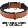 image:imageLeather Dog Collar Padded Soft Interiors Premium Vintage Look HandcraftedCognac