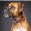 image:imageLeather Dog Collar Padded Soft Interiors Premium Vintage Look HandcraftedCognac