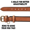 image:imageLeather Dog Collar Padded Soft Interiors Premium Vintage Look HandcraftedCognac