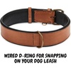 image:imageLeather Dog Collar Padded Soft Interiors Premium Vintage Look HandcraftedCognac