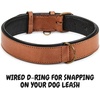 image:imageLeather Dog Collar Padded Soft Interiors Premium Vintage Look HandcraftedCognac