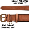 image:imageLeather Dog Collar Padded Soft Interiors Premium Vintage Look HandcraftedCognac
