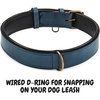 image:imageLeather Dog Collar Padded Soft Interiors Premium Vintage Look HandcraftedOcean Blue