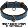 image:imageLeather Dog Collar Padded Soft Interiors Premium Vintage Look HandcraftedOcean Blue