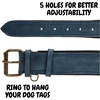 image:imageLeather Dog Collar Padded Soft Interiors Premium Vintage Look HandcraftedOcean Blue