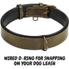 image:imageLeather Dog Collar Padded Soft Interiors Premium Vintage Look HandcraftedOlive