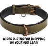 image:imageLeather Dog Collar Padded Soft Interiors Premium Vintage Look HandcraftedOlive