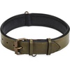 image:imageLeather Dog Collar Padded Soft Interiors Premium Vintage Look HandcraftedOlive