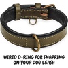 image:imageLeather Dog Collar Padded Soft Interiors Premium Vintage Look HandcraftedOlive