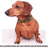 image:imageLeather Dog Collar Padded Soft Interiors Premium Vintage Look HandcraftedOlive