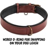 image:imageLeather Dog Collar Padded Soft Interiors Premium Vintage Look HandcraftedOxblood