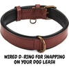 image:imageLeather Dog Collar Padded Soft Interiors Premium Vintage Look HandcraftedOxblood