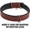 image:imageLeather Dog Collar Padded Soft Interiors Premium Vintage Look HandcraftedOxblood
