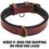 image:imageLeather Dog Collar Padded Soft Interiors Premium Vintage Look HandcraftedOxblood