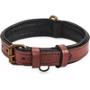 Oxblood
